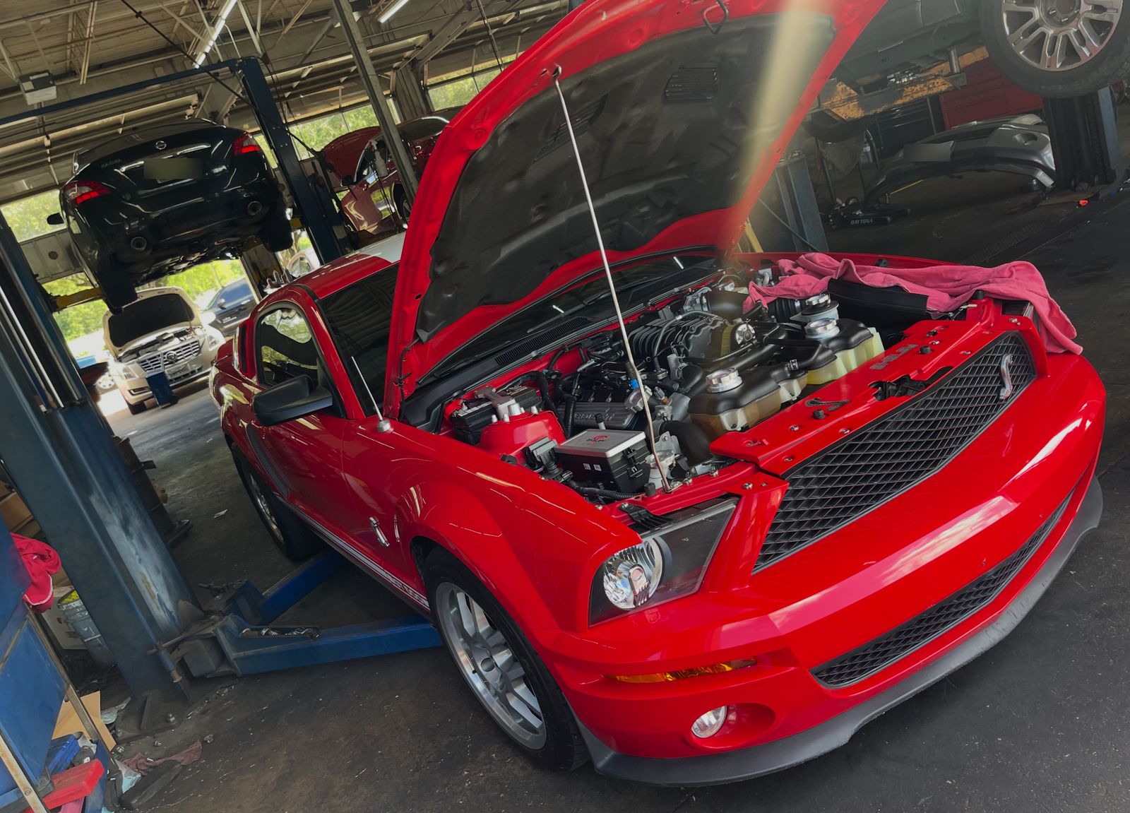 Shelby GT500 with the hood up in the service bay